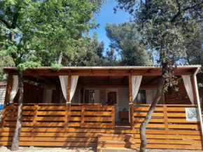 OAK TREE Mobile Home, Camp Soline